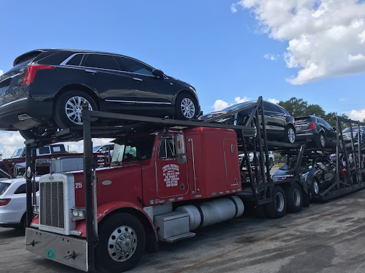 multiple vehicles on trailer