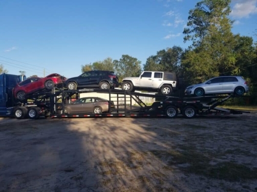 Volkswagen Car Transport