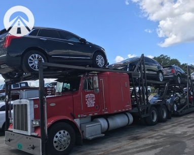Reliable multi car shipping service nationwide